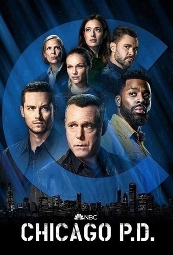 Полиция Чикаго 10 сезон 10 серия [Смотреть Онлайн]