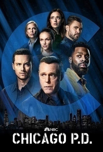 Полиция Чикаго 10 сезон 15 серия [Смотреть Онлайн]