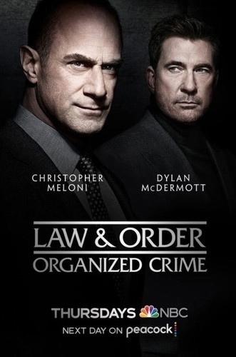 Закон и порядок: Организованная преступность 4 сезон 12 серия [Смотреть Онлайн]